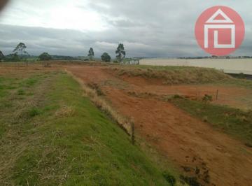 cee5196a672073d2acd3289c263c2d5678e78f20 · Terreno à venda, 5067 m² por R$ 2.170.046,50 - Centro Industrial Rafael Diniz - Bragança Paulista/SP