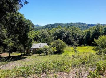 Foto 10 · Chácara com 4,49 ha, Luz, Água de Poço e Cabana Rústica