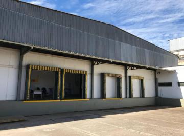 Comercial , Águas Claras · Valor negociável de Câmaras refrigeradas/congelados em Brasília Tel 99977 9521 