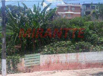 6034a4e9a86e4f21a1de6ff47fbfc7a1.jpg · Terreno