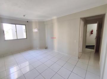 Foto 13 · Apartamento, Vila das Mercês, São Paulo, SP