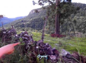 15784524_4.jpg · Sítio 03 Ha Linda Vista  Linha Furna  Gramado