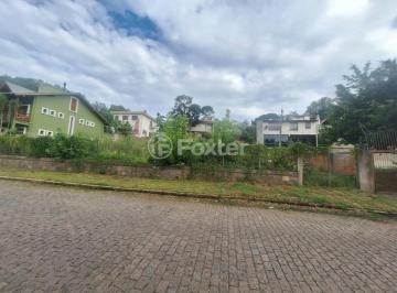 20260210_164616.jpg · Terreno, 638.88 m², em Tristeza