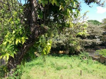 20180916_112436_resized.jpg · Terreno, 1307.68 m², em Teresópolis