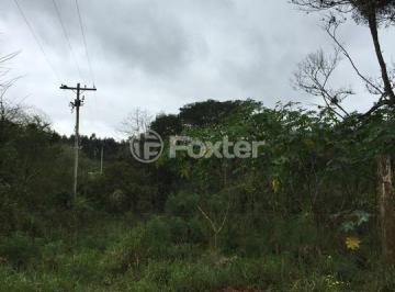 IMG_2842.JPG · Terreno, 32500 m², em Belém Velho