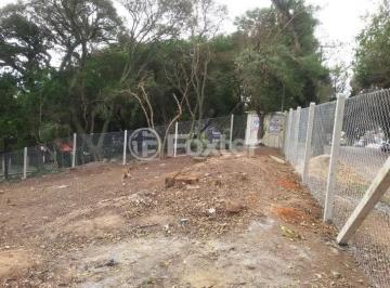 de49a898-4f7b-4c31-acd1-de8ea8656d01.jpg · Terreno, 949.55 m², em Tristeza