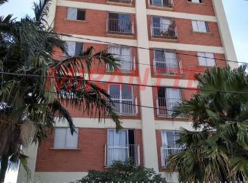 7bd42cc2cfad0c26a82f0c2cfe63c98b.jpg · Apartamento de 50m² com 2 quartos