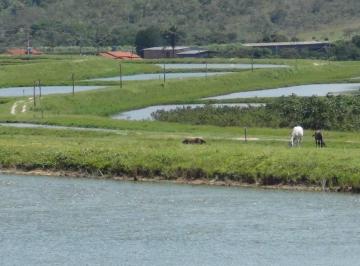 Rural de 6 quartos, Alto Paraíso de Goiás · FAZENDA ESTRUTURADA PARA PISCICULTURA E PECUÁRIA
