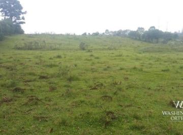 9f87a4d71a2b3c4519c6c7e3248868ab128253cf · Terreno à venda, 41827 m² por R$ 16000.000 - Colônia Murici - São José dos Pinhais/PR