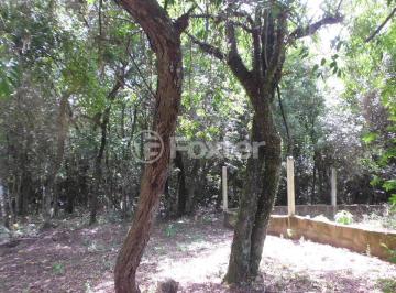 CIMG4121.JPG · Terreno, 3550 m², em Lami