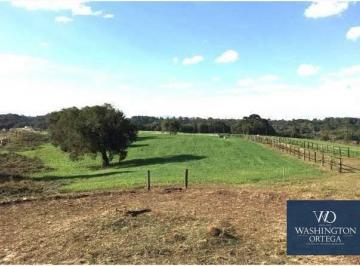 03ca03d6a38a79929ea14a08ae4a7cb0a92e283f · Área à venda, 20000 m² por R$ 2.760.000,00 - Miringuava - São José dos Pinhais/PR