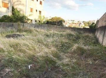 Tererno (7) · TERRENO,0 Dormitorio(s) bairro Europa