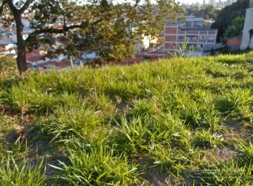 33703_iaepatrim33703_245294.jpg · TERRENO,0 Dormitorio(s) bairro Haro