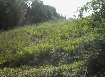 Terreno · 10000m² · TERRENO Á VENDA EM SANTANA DE PARNAÍBA - SP