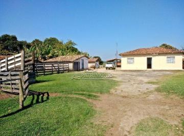 52556_i94v6ywO4Fq6_5255659c2a7325d91e.jpg · SÍTIO,3 Dormitorio(s) bairro Caguaçu