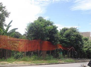 27930_iaepatrim27930_1251.jpg · TERRENO,0 Dormitorio(s) bairro Barão