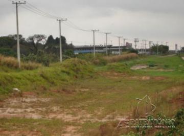 16981_iaepatrim16981_150291.jpg · ÁREA,0 Dormitorio(s) bairro Campininha