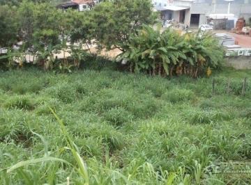 37017_id7h1b_37017563a6312aa3f4.jpg · TERRENO,0 Dormitorio(s) bairro Brigadeiro Tobias