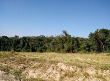 52280_iMK11YTX6a4w7Oh2_5228059b2d3fa2426e.jpg · TERRENO,0 Dormitorio(s) bairro Caguaçu