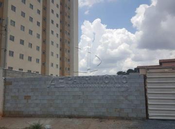 54904_ib67b13_549045de55aa0234c7.jpg · TERRENO,0 Dormitorio(s) bairro Lopes de Oliveira