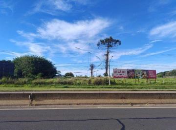 Terreno · 58000m² · AREA COM 58.056,62 - RAPOSO TAVARES