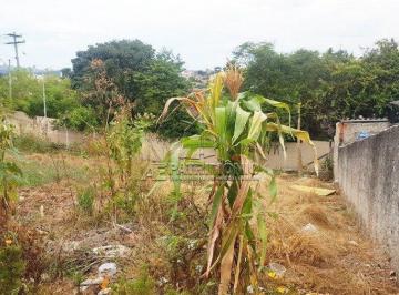 55502_iMvfk394AGrl1K62_555025aaffe940674f.jpg · TERRENO, Bairro Centro