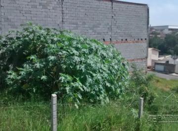 31255_iaepatrim31255_123568.jpg · TERRENO, Bairro Paulista
