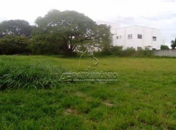 48965_iR078I9E96sH9kr_4896558bd96cc21f34.jpg · ÁREA,0 Dormitorio(s) bairro Paço