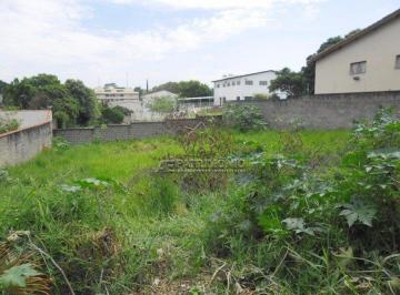 38245_iy3g7i_38245568b9abb93e70.jpg · TERRENO,0 Dormitorio(s) bairro Eltonville