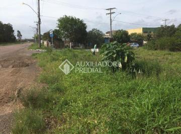 236149_iZoww262h90d2gYt75q1D_2361495bbe5b454d2c3.jpg · Terreno no bairro Sans Souci