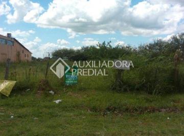 253075_iA4H154904097_2530755a8f0b94954c5.jpg · Terreno no bairro Fátima