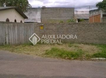250239_i53Ej4yN1Mg41zD8eK247_2502395a5f8b7fcefbc.jpg · Terreno no bairro Engenho