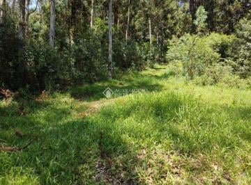 Rural · 120000m² · 1 Quarto · Propriedade Rural no bairro Linha Cristo Rei