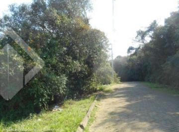 167297_iauxiliad167297_127552.jpg · Terreno no bairro Centro