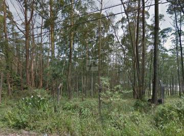 5411_iV6Y369d30UZe69wN_541159f3805e83bf8.jpg · Terreno à venda - em Batistini