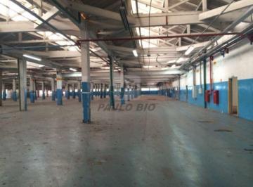 1841_ipaulobio1841_454184.jpg · Galpão Comercial  para locação no Bairro Vila Arapuã em São Paulo - SP.