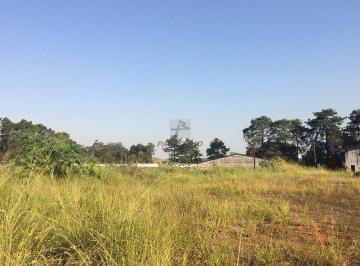 705_i3F2R8Ijjbh_7055b071ad35e075.jpg · Terreno para aluguel - no Sertãozinho