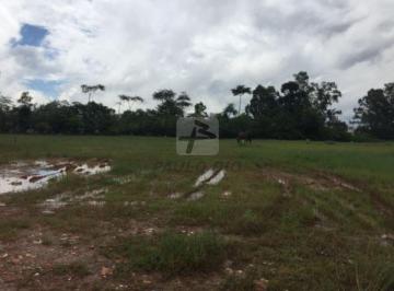 3386_ipaulobio3386_638359.jpg · Terreno à venda - em Taboão