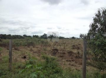 3148_ipaulobio3148_1445906.jpg · Terreno à venda - em UNA