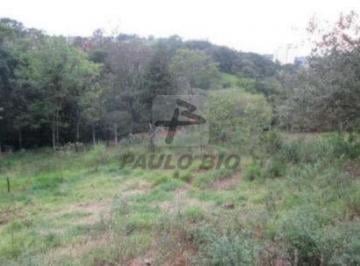 5166_ipaulobio5166_22893.jpg · Terreno à venda - no Parque Viana