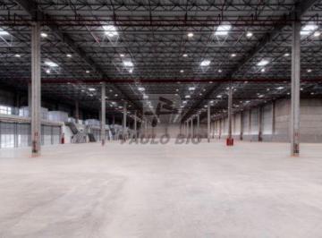 2510_ipaulobio2510_738899.jpg · Comercial para aluguel - em Potuverá