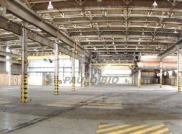 4530_ipaulobio4530_41733.jpg · Comercial para aluguel - em Éden