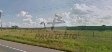 Terreno · 150000m² · Terreno à venda - na Vila Martins