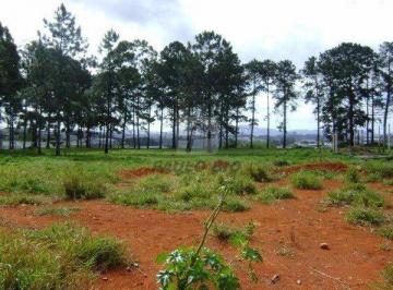 4786_i7VtL04101e2Dr8_478659036adb6e34c.jpg · Terreno à venda - no Jardim São Paulo