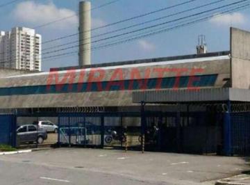 5b03164337319a79fc8681321d37d47a.jpg · Comercial de 14700m²