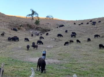 Rural de 3 quartos, Cunha · Fazenda 50 alqueires, Cunha/SP, est. 90% imóveis em São Paulo, porteira fechada
