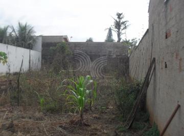 2017/11/61498149.jpg · TERRENO - JARDIM PRIMAVERA