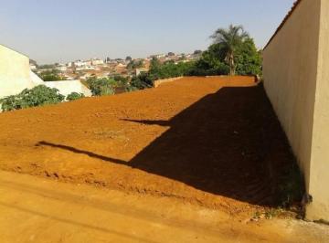 Foto 01 · Terreno - Conjunto Habitacional Euclides Figueiredo