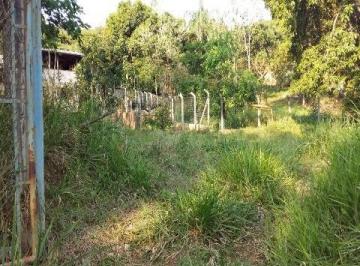 24003880.jpg · TERRENO - FLORESTA