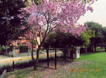 Foto 02 · Terreno, São Lucas, Viamão, RS